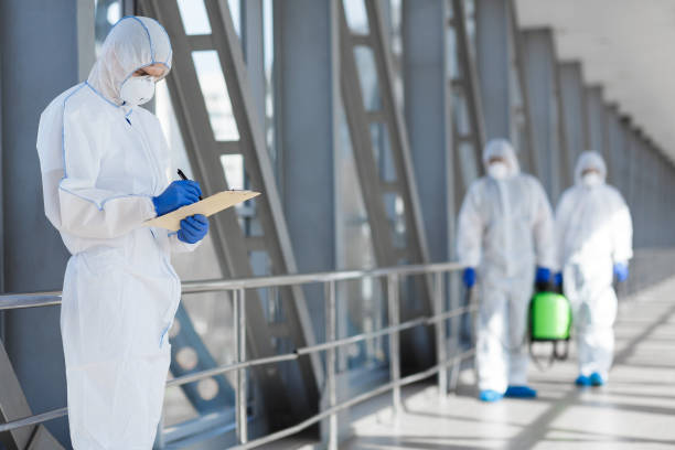 Best Mold Prevention Services  in New Mford, IL