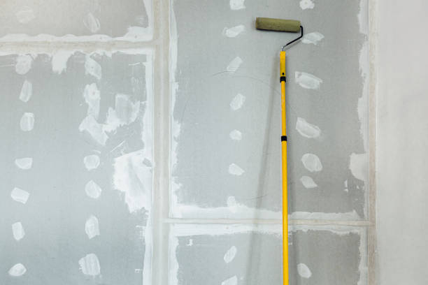 Biohazard Mold Removal in New Milford, IL