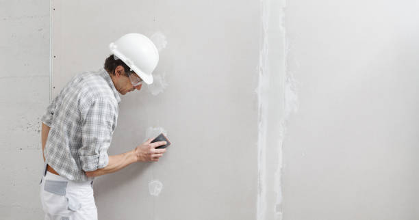 Best Dehumidification Services  in New Mford, IL
