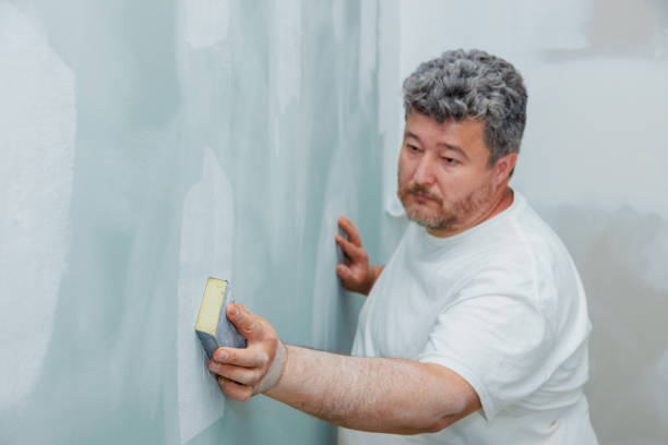Best Mold Damage Restoration  in New Mford, IL