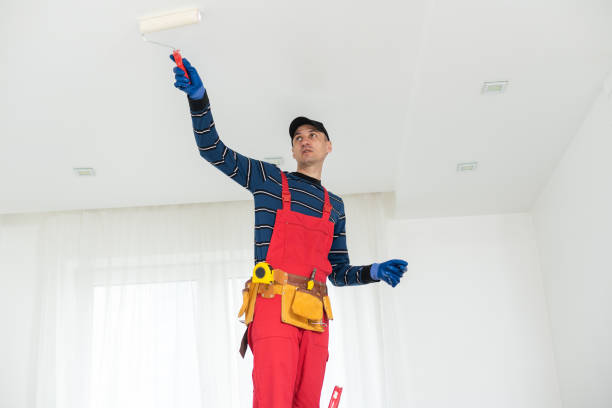 Best Indoor Air Quality Assessment  in New Mford, IL