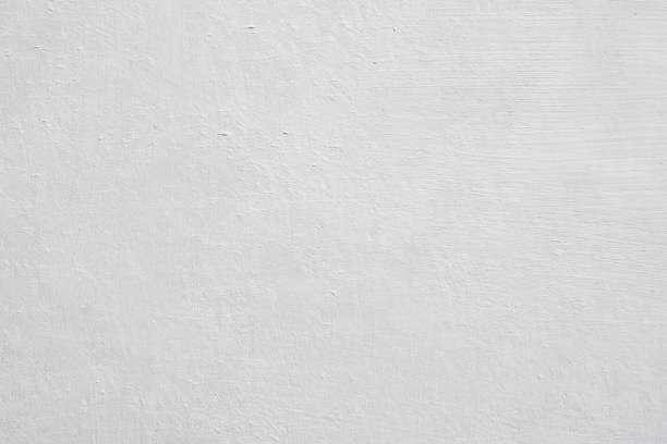 Trusted New Milford, IL Mold Removal Experts