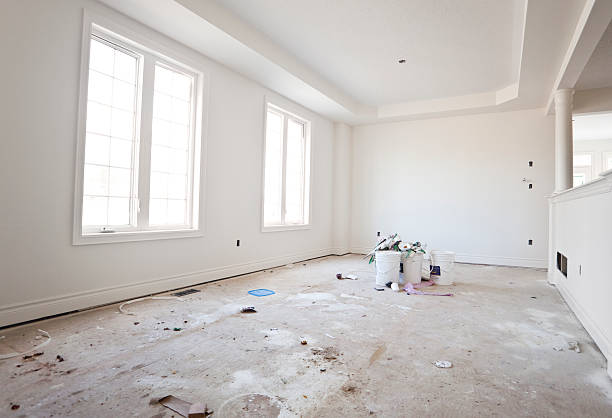 Best Mold Odor Removal Services  in New Mford, IL