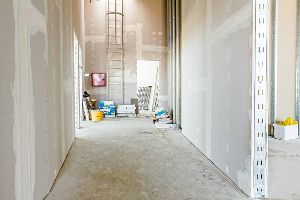 Best Forensic Mold Investigation  in New Mford, IL