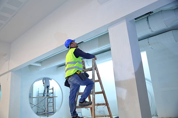 Best Residential Mold Inspection & Testing  in New Mford, IL