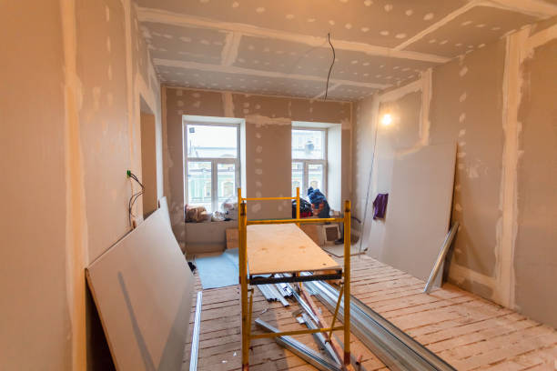 Best Industrial Mold Remediation  in New Mford, IL